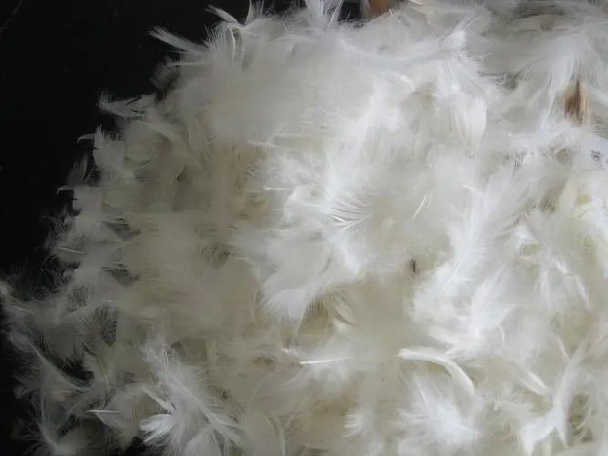 FEATHERS